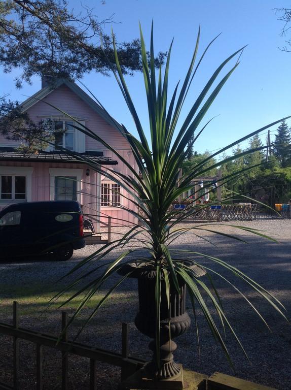 Box Bed & Breakfast Экстерьер фото